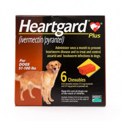 Comprimés à croquer HEARTGARD Plus (brun) pour chiens 51-100lbs(23-45kg), Pack de 6 Comprimés à croquer HEARTGARD Plus (brun) pour chiens 51-100lbs(23-45kg), Pack de 6