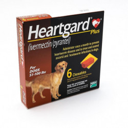 Comprimés à croquer HEARTGARD Plus (brun) pour chiens 51-100lbs(23-45kg), Pack de 6 Comprimés à croquer HEARTGARD Plus (brun) pour chiens 51-100lbs(23-45kg), Pack de 6