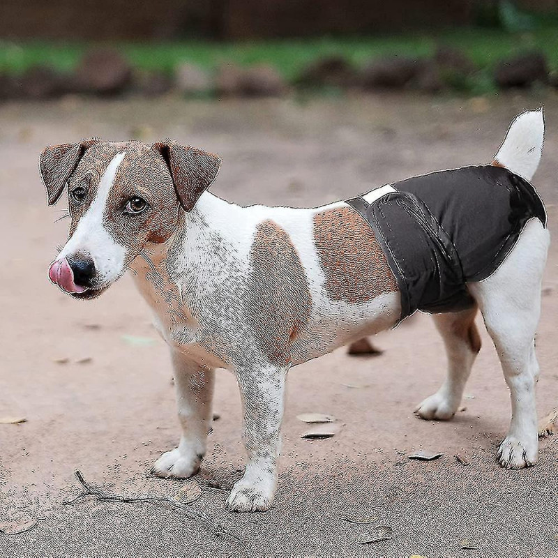 Pack Of 3 Reusable Washable Dog Diapers, Highly Absorbent Dog Physiological Pants Sanitary Diaper Pet Harassment [...]