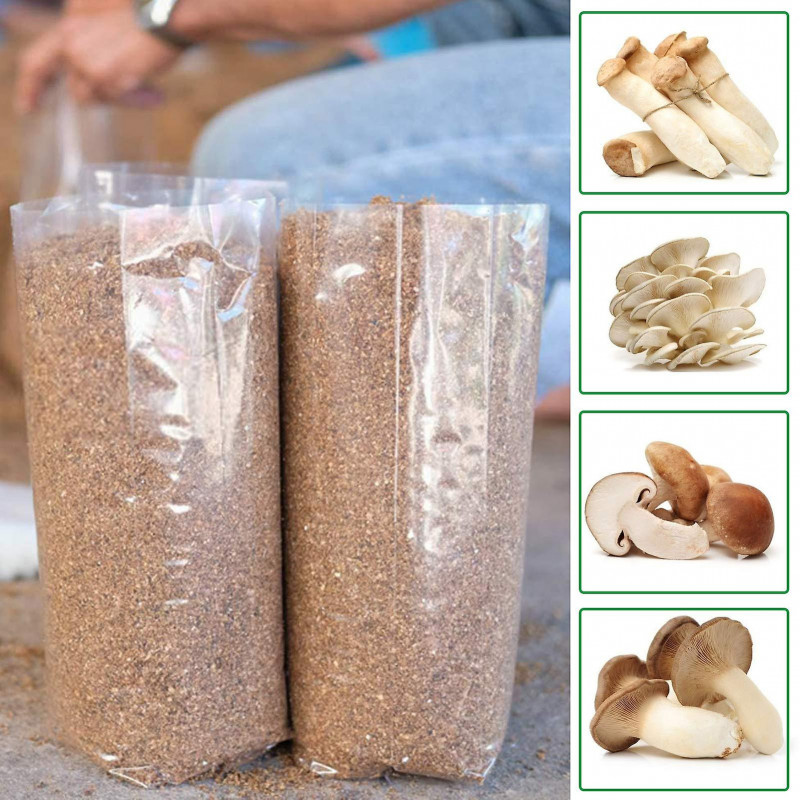 Naievear 10pcs / sac Sacs de croissance Haute température résistant à la nourriture Plastique Respirant Plant [...]