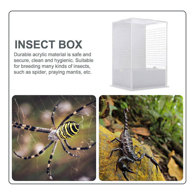 1pc Mantis Feeding Insect Breeding Box Acrylic Insect Feeding Container
