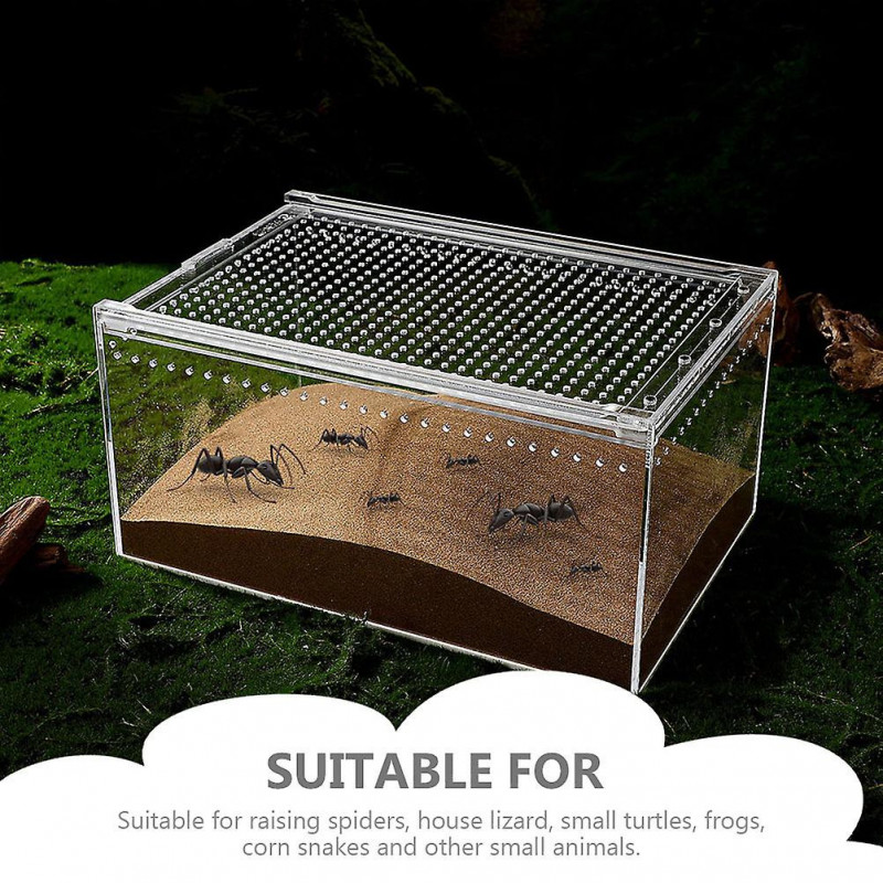 Creative Feed Bin Small Breeder Box Reptiles Enclosure Snail Feed Bin Enclosure for Insect