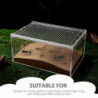 Creative Feed Bin Small Breeder Box Reptiles Enclosure Snail Feed Bin Enclosure for Insect