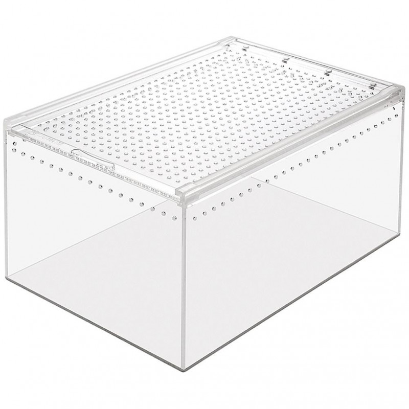 Creative Feed Bin Small Breeder Box Reptiles Enclosure Snail Feed Bin Enclosure for Insect