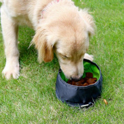Dog Bowl Travel Bowls Pliable pour chien de compagnie, étanche Portable Dog Bowl Travel Bowls Pliable pour chien de compagnie, étanche Portable