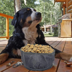 Dog Bowl Travel Bowls Pliable pour chien de compagnie, étanche Portable Dog Bowl Travel Bowls Pliable pour chien de compagnie, étanche Portable