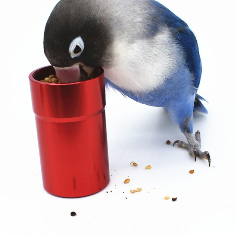 Small Metal Jar Parrot Hand Held Feeder Toy for Cockatiel Conures Budgies Small Metal Jar Parrot Hand Held Feeder Toy for Cockatiel Conures Budgies