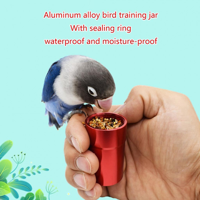 Small Metal Jar Parrot Hand Held Feeder Toy for Cockatiel Conures Budgies Small Metal Jar Parrot Hand Held Feeder Toy for Cockatiel Conures Budgies