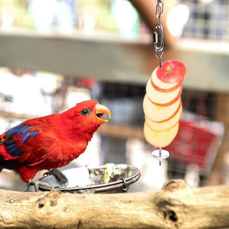 Water Cup DrinkerFood Seed Dispenser Container Set Hanging in Cage
