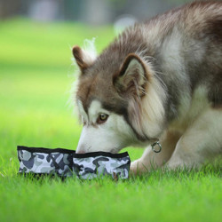 Portable Collapsible Canvas Dog Bowl For Pet Dog Cat Travel Outdoor Coffee Portable Collapsible Canvas Dog Bowl For Pet Dog Cat Travel Outdoor Coffee