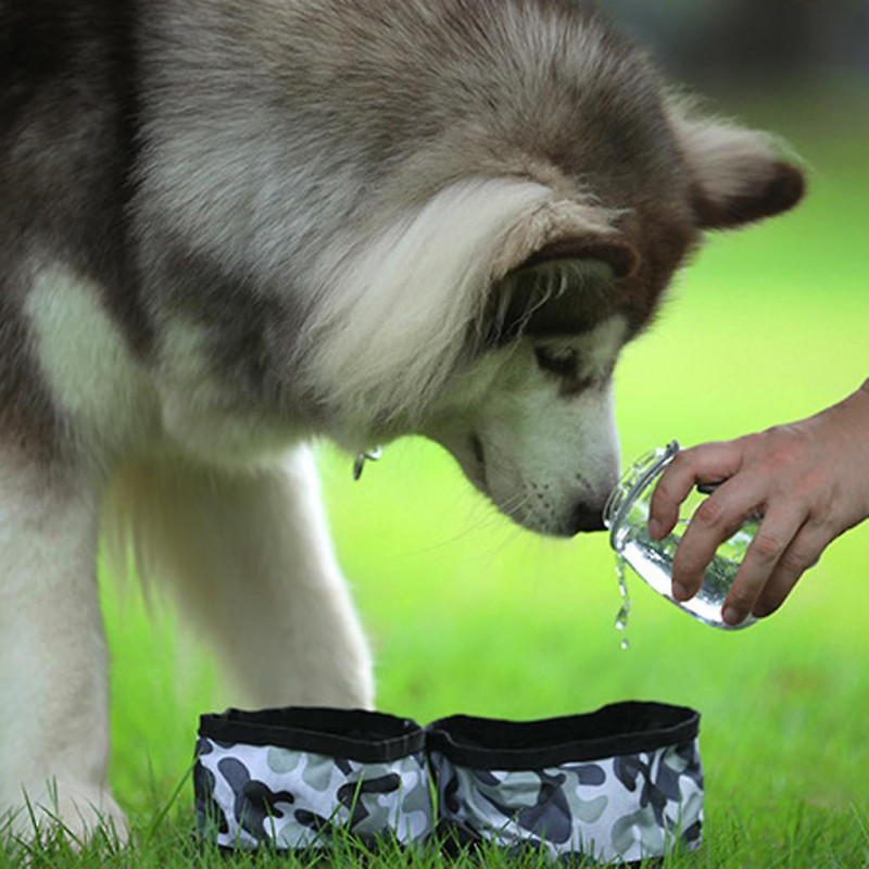 Portable Collapsible Canvas Dog Bowl For Pet Dog Cat Travel Outdoor Coffee
