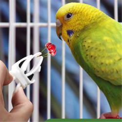 12 Pcs Bird Food Holder Feeding Clips Parrots Toy For Small Size Bird Cage Mount Multifunctional Treats Fruit Holder 12 Pcs Bird Food Holder Feeding Clips Parrots Toy For Small Size Bird Cage Mount Multifunctional Treats Fruit Holder