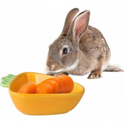 2023 - Bol en céramique pour animaux de compagnie - Carotte - Bol en céramique pour hamster, cochon d’Inde, rat, lapin 2023 - Bol en céramique pour animaux de compagnie - Carotte - Bol en céramique pour hamster, cochon d’Inde, rat, lapin