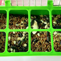 Bird Food Container Food Seed Dispenser Container Set with 8-grid Cover Bird Food Container Food Seed Dispenser Container Set with 8-grid Cover