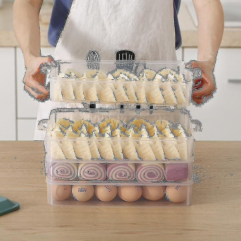 Food Storage Box Dumpling Organizer Refrigerator Fresh Keeping Box Transparent Sealed