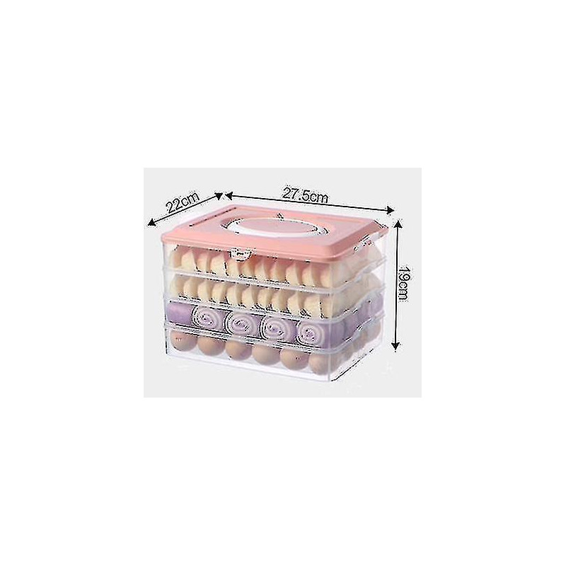 Food Storage Box Dumpling Organizer Refrigerator Fresh Keeping Box Transparent Sealed