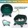 Cat Bowl Ceramic Raised Bowl For Cat/puppy, Angled Orthopedic Bowl For Adult Cat/kitten For Food 1pc