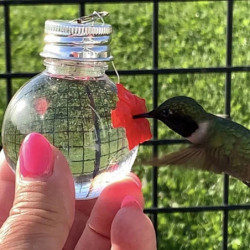 Hangable Bird Feeder Minimalist Eco-friendly Light Bulb Shape Bird Food Container For Porch Q Hangable Bird Feeder Minimalist Eco-friendly Light Bulb Shape Bird Food Container For Porch Q