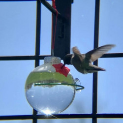Hangable Bird Feeder Minimalist Eco-friendly Light Bulb Shape Bird Food Container For Porch Q Hangable Bird Feeder Minimalist Eco-friendly Light Bulb Shape Bird Food Container For Porch Q