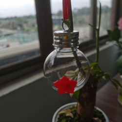 Hangable Bird Feeder Minimalist Eco-friendly Light Bulb Shape Bird Food Container For Porch Q Hangable Bird Feeder Minimalist Eco-friendly Light Bulb Shape Bird Food Container For Porch Q
