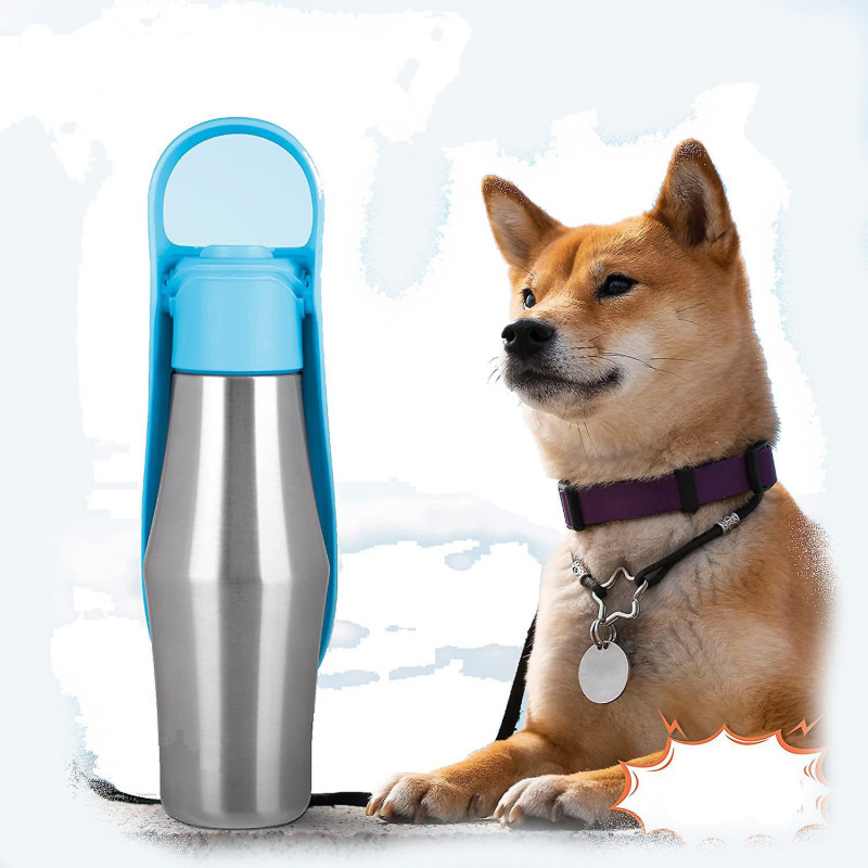 Pet Accompanying Cup Stainless Steel Outdoor Kettle Dog Walking Travel Drinking Fountain