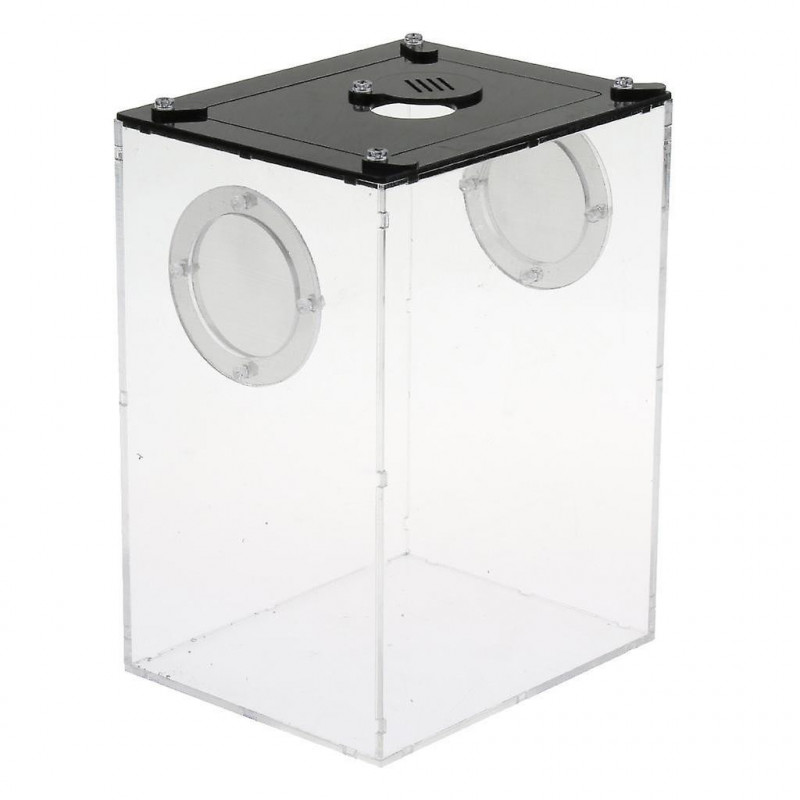 Reptile Feeding Box Transparent Cage Hatching Container For Lizards Frogs
