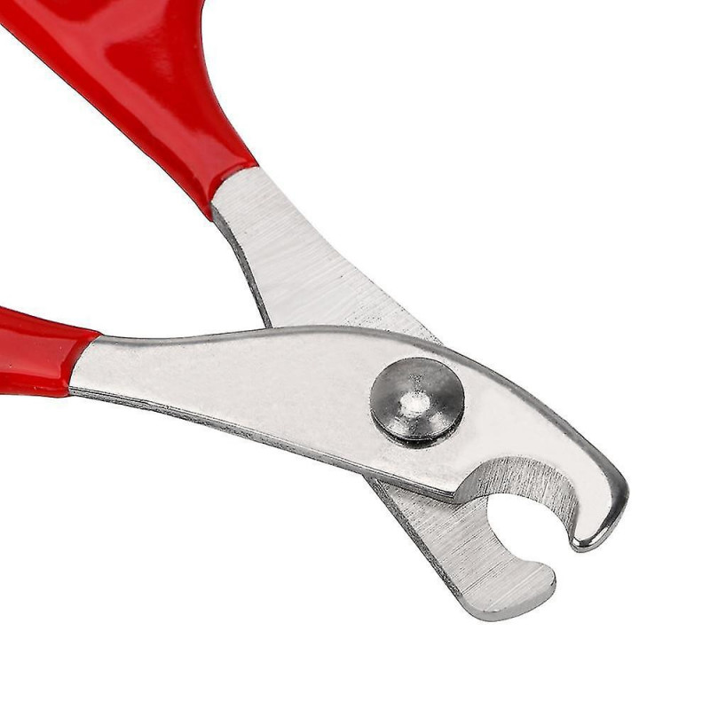 Accessoires pour animaux de compagnie Outils de soin des griffes pour ongles Outils de nettoyage pour animaux de [...]