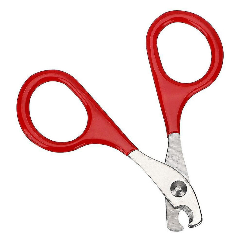 Accessoires pour animaux de compagnie Outils de soin des griffes pour ongles Outils de nettoyage pour animaux de [...]