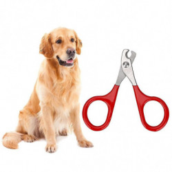 Accessoires pour animaux de compagnie Outils de soin des griffes pour ongles Outils de nettoyage pour animaux de [...]