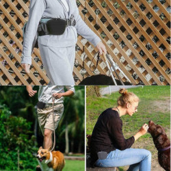 Pochette de friandise pour chiens de formation en silicone de qualité alimentaire sans BPA, couvercle de fermeture [...]