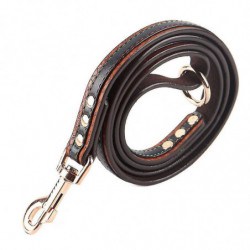 Dog Leash Pu Rope Outdoor Walking Dog Leash Dog Training Leather Dog Leash Pet Supplies