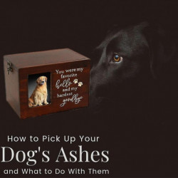 Urne pour animaux de compagnie en bois chien chat boîte de rangement Photo cinéraire cercueil Memorial Box [...]