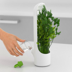 Simple Style Fresh-keeping Container Durable Sturdy Vegetable Dividers Plant Moisturizing Storage Cup Simple Style Fresh-keeping Container Durable Sturdy Vegetable Dividers Plant Moisturizing Storage Cup