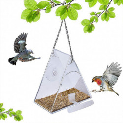 Triangular Pet Feeder Suction Cup Mounted Food Container Transparent Triangular Pet Feeder Suction Cup Mounted Food Container Transparent