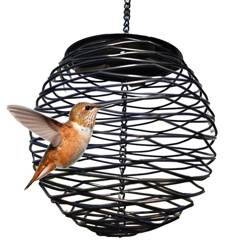 Wild Bird Feeder Bird Food Container No-mess For Parrots Budgies Cockatiel Hanging Suet Basket Holder Feeding Tool