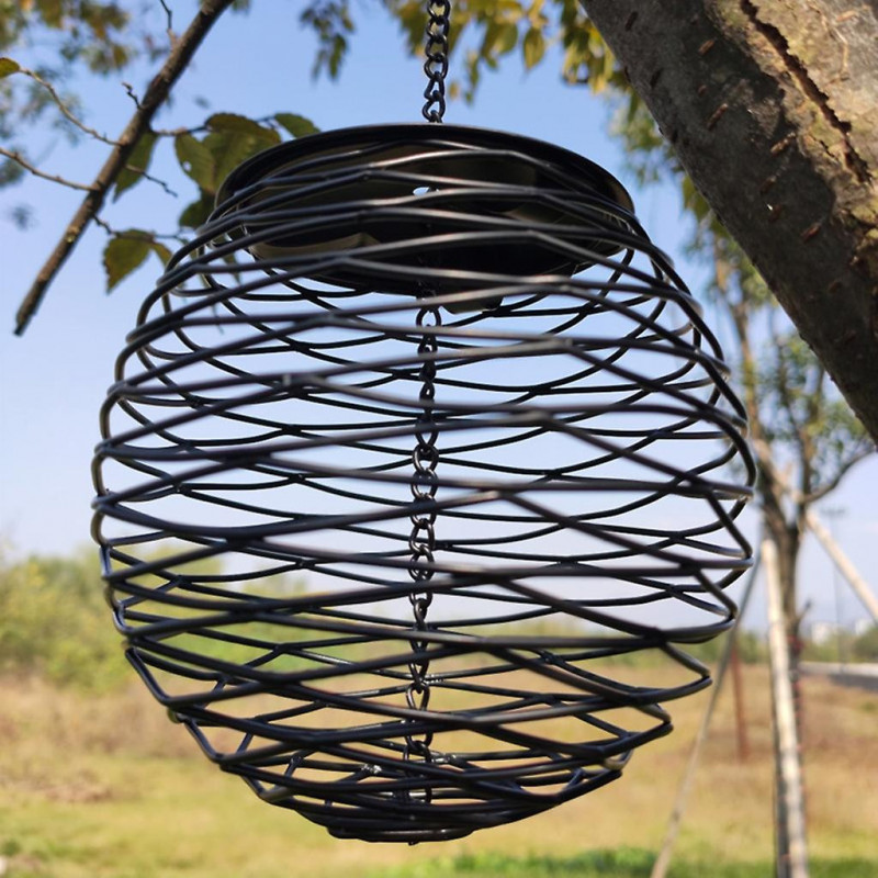 Wild Bird Feeder Bird Food Container No-mess For Parrots Budgies Cockatiel Hanging Suet Basket Holder Feeding Tool
