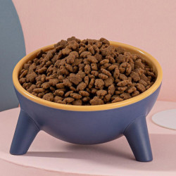 Pet Cats Dogs Anti Vomiting Bowl Backflow Prevention Pet Feeding Container Dish Pet Cats Dogs Anti Vomiting Bowl Backflow Prevention Pet Feeding Container Dish