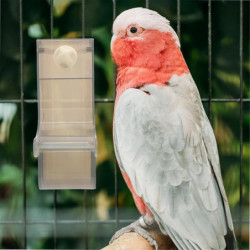Mangeoire pour perroquets Bol de nourriture pour oiseaux Récipient de nourriture pour perroquets Bol [...]