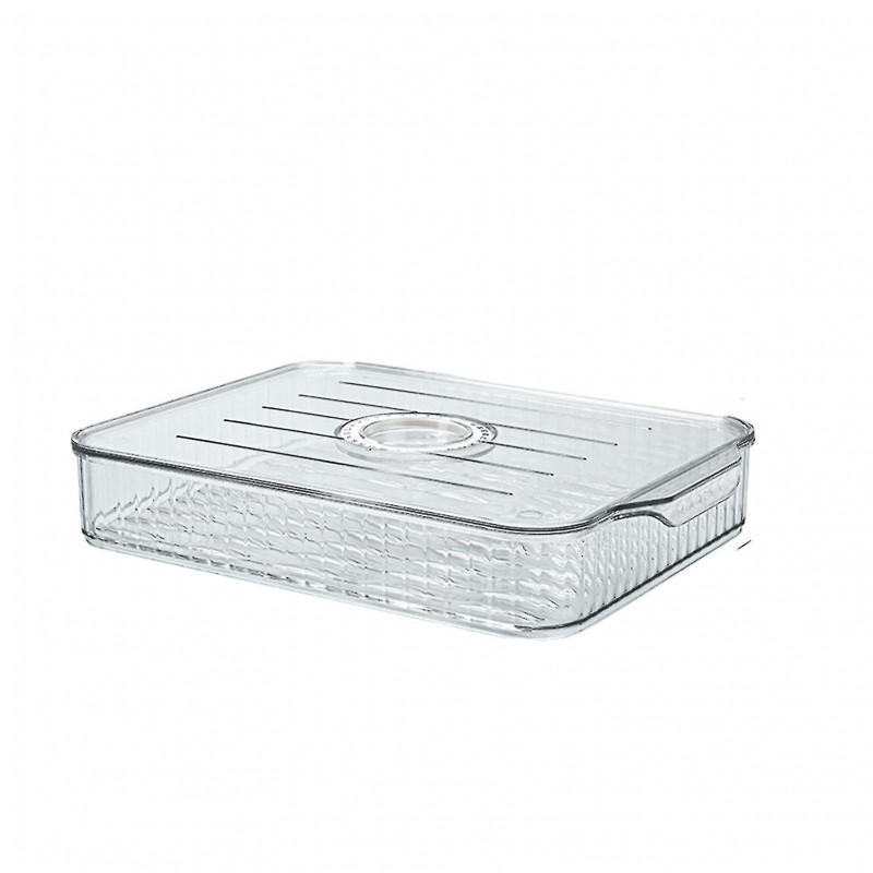 Household Timing Dumpling Box Large Capacity Food Fresh-keeping Box For Kitchen