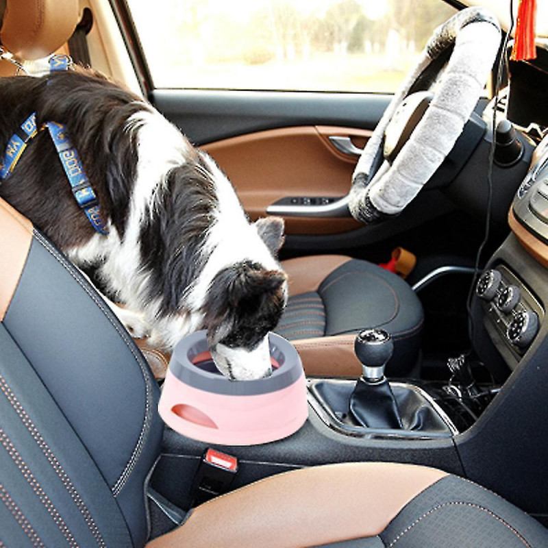 Pas de bol d’eau pour chien pour la maison et les voyages, plus de sols mouillés