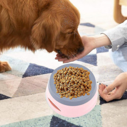 Pas de bol d’eau pour chien pour la maison et les voyages, plus de sols mouillés Pas de bol d’eau pour chien pour la maison et les voyages, plus de sols mouillés