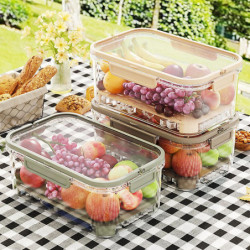 Portable Fresh-keeping Box with Handle Reusable Leak-Proof Food Container for Food Preparations Portable Fresh-keeping Box with Handle Reusable Leak-Proof Food Container for Food Preparations