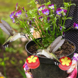 Handheld Hummingbird Feeders Plastic Mini Hand Feeding Tools(red,4pcs) Handheld Hummingbird Feeders Plastic Mini Hand Feeding Tools(red,4pcs)