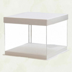 1Pc 10inch Transparent Birthday Cake Box Plastic Cake Container Box Dessert Storage Box (Transparent) 1Pc 10inch Transparent Birthday Cake Box Plastic Cake Container Box Dessert Storage Box (Transparent)