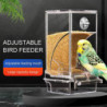 Automatic Bird Feeder with Perch Large Capacity Transparent Food Container Plastic Parrot Water Food