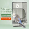 Automatic Bird Feeder with Perch Large Capacity Transparent Food Container Plastic Parrot Water Food