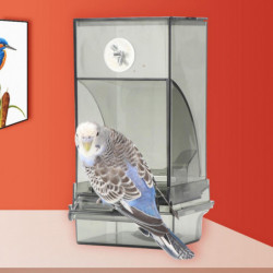 Automatic Bird Feeder with Perch Large Capacity Transparent Food Container Plastic Parrot Water Food Automatic Bird Feeder with Perch Large Capacity Transparent Food Container Plastic Parrot Water Food