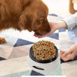 Pas de bol d’eau pour chien renversé pour la maison et les voyages, plus de sols mouillés ou d’éclaboussures Pas de bol d’eau pour chien renversé pour la maison et les voyages, plus de sols mouillés ou d’éclaboussures