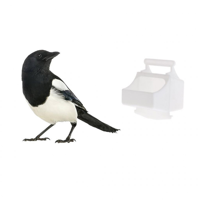 Bird Cage Feeding Box Feeder Food Container Bird Feeders Cage Accessories