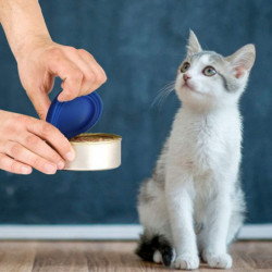 6 Pieces Silicone Lids For Can Food Silicone Lids For Cat Food Dog Food Can Lids 6 Pieces Silicone Lids For Can Food Silicone Lids For Cat Food Dog Food Can Lids